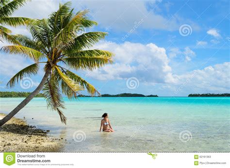 female bathing under a hanging palm tree stock image image of tree french 62161363