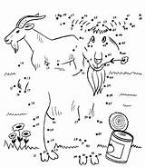 Dots Dot Pontos Gruff Goats Punctele Unir Puzzles Uneste Desene Ligue Planse Plansa Colorat Afla Cine Ponto Pobarvanke Pike Geit sketch template