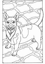 Russel Kleurplaat Malvorlage Colorear Disegno Kleurplaten Zum Alano Kostenlose Ausmalbild Hund Educolor Downloaden Uitprinten sketch template