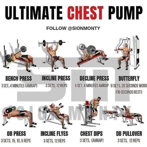 sport fitness bodybuilding workout gym fitness  musculation exercice musculation pectoraux