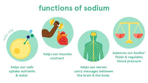 Sodium Foods Functions How Much Do You Need And More Eufic