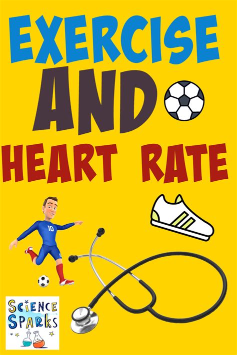 exercise affect heart rate science  kids