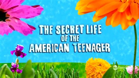 nuggets of truth secret life of the american teenager