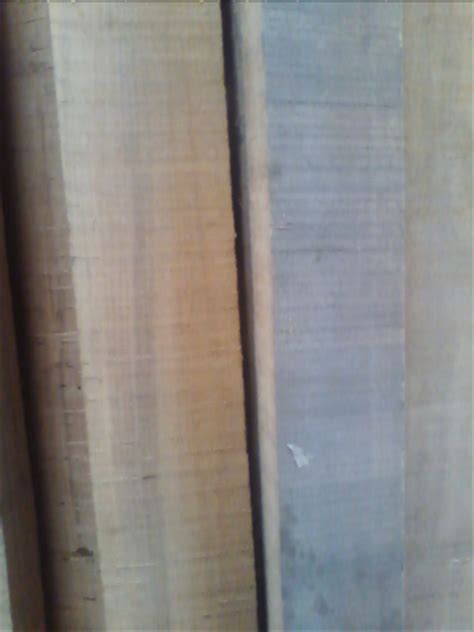 sal wood   price   delhi delhi   timber pvt