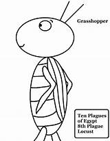 Locust Coloring Grasshopper Plagas Plague Designlooter Moscas Dibujos sketch template