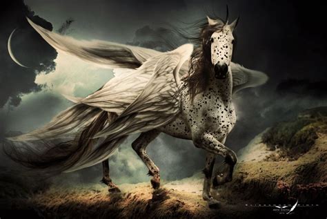 winged horse   elissandrodeviantartcom  atdeviantart fantasy