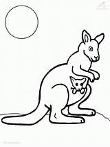 Kangaroo Coloring Color Pages Kids Popular sketch template