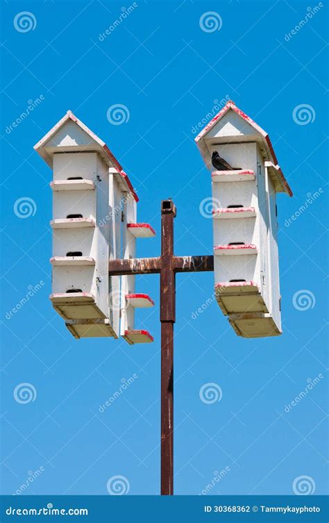 multiple white bird houses stock photo image  build