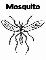Mosquito Coloring Pages Printable Kids Bestcoloringpagesforkids sketch template