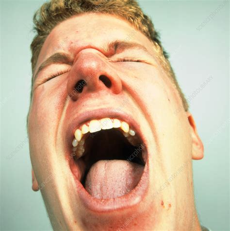 face   man screaming  pain  rage stock image