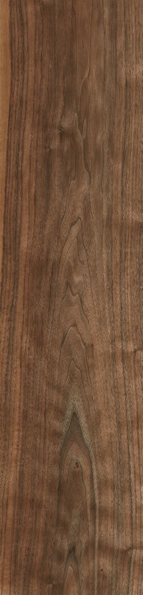 black walnut  wood  lumber identification hardwood