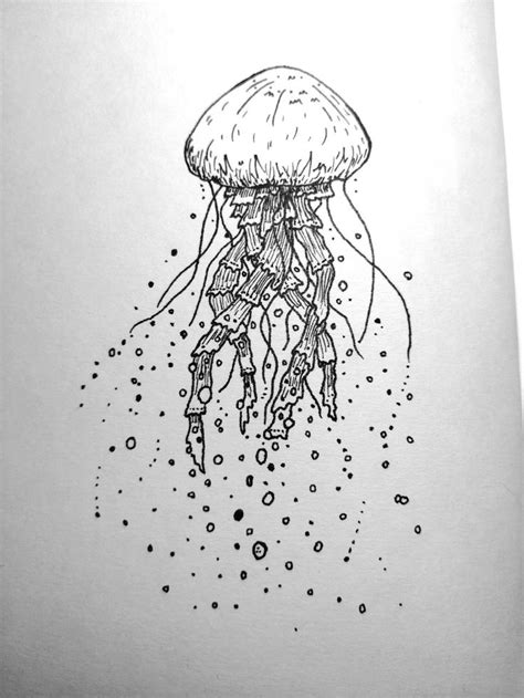 jellyfish meduza eskiz