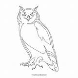 Owl Outline Stencil Printable Sketch Clipart Cliparts Coloring Silhouette Library Clip Board Template Drawings Navigation Post Choose Comments sketch template