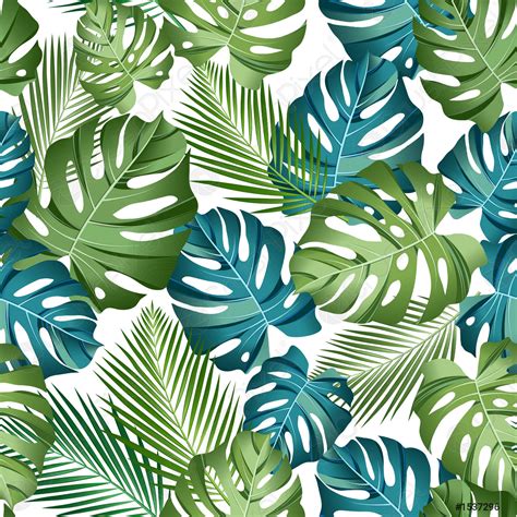 seamless pattern  tropical leaves palms monstera jungle leaf
