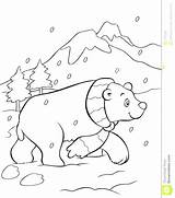 Animals Arctic Coloring Pages Preschoolers Getdrawings sketch template