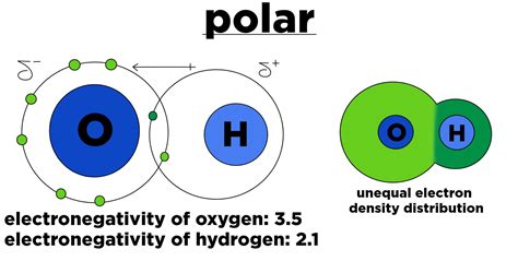 polar covalent bond  chemistry slideshare  nude porn