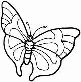Butterfly Coloring Pages Printables Kids Printable sketch template