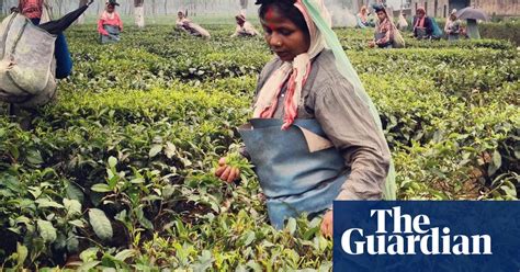 instagram snapshots the chai wallahs of india travel the guardian
