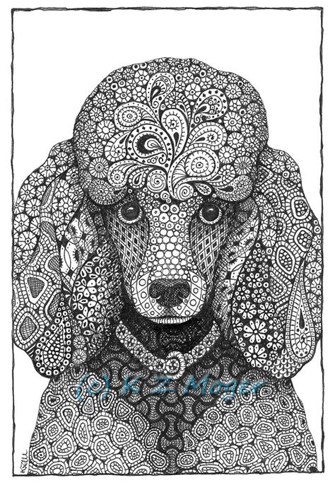 domestic  wild zentangle animal portraits poodle drawing dog