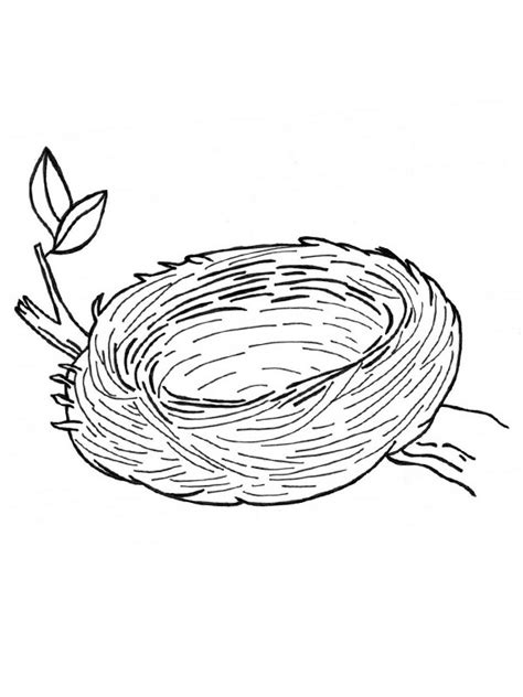 bird nest coloring page funny coloring pages