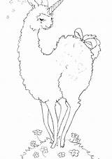 Coloring Llama Pages Alpaca Bohemian Cartoon Dam Drawing Getdrawings Getcolorings Ostrich Color Colorings sketch template