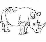 Animals Coloring Safari Pages Rhinoceros Wild Animal Color Print Coloringcrew Cool Gif Printable sketch template