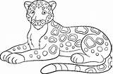 Jaguar Coloring Pages Animal Sheets Baby Kids Color Rainforest Simple Jaguars Choose Board sketch template