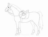 Horse Coloring Pages Saddle Easy Printable Kids Sheet Simple sketch template