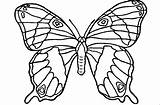 Butterflies Papillon Kupu Schmetterling Mewarnai Ausdrucken Borboleta Papillons Borboletas Colorier Molde Mariposa Alamendah Tk Ausmalen Paud Coloriages Justcolor Metamorfose Paisible sketch template