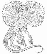 Lizard Neck Frilled Coloring Dragon sketch template