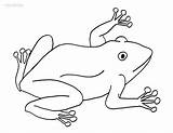 Toad Coloring Pages Printable Cool2bkids sketch template