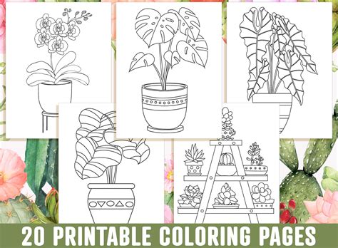 houseplant coloring pages  printable adorable succulent etsy