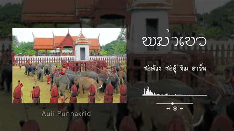 พม่าเขว ซอด้วง ซออู้ ขิม ฮาร์พ Auii Punnakrid Youtube Music