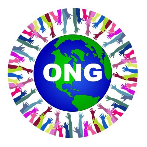 significa ong definicion significado de ong
