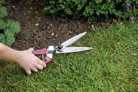 grass shears   experts reviewed buying guide