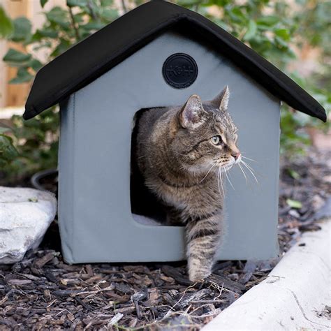heated cat house   outdoor kitties warm  freezing