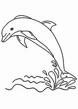 Delfini Pianetabambini Delfino Animali Dolphin Disegnare Arte Utilizzare Alternativa Possibile Funzioni Inoltre Diretta Ricordiamo Dal sketch template