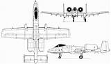 Thunderbolt Fairchild Republic Blueprint A10 Warthog Blueprints Drawingdatabase Planes 3v sketch template