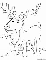 Reindeer Coloring Evening Walk Pages sketch template