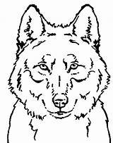 Wolves Coloring Loups Print Pages Coloringkids sketch template