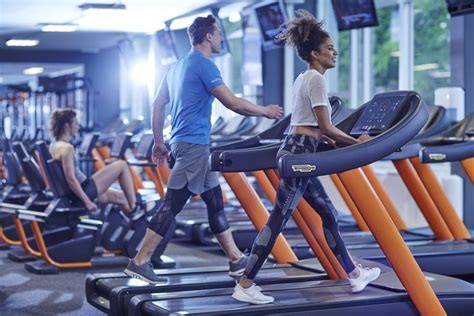 fitnessketen basic fit wil meer   nieuwe vestigingen openen  belgie economie hlnbe
