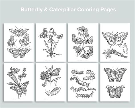 butterfly caterpillar coloring pages coloring pages hand