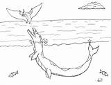 Tylosaurus Coloring Water Robin Pages Great Pteranodon Rex sketch template