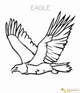 Soaring Ausmalbilder Adler Colouring Vogel Eagles Clipartmag Playinglearning Malvorlagen sketch template