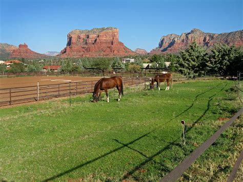 ranch  horse properties  sale  arizona