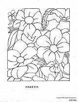Coloring Pages Flower Printable Flowers Adults Sheets Color Easter Print Elderly Easy Hawaiian Large Books Seniors Summer Girls Colouring Sheet sketch template
