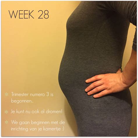 weken zwanger zwangerschapsupdate  babyblog