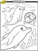 Coloring Dolphin Pages Dolphins Crayola Print Ocean Printable Kids Sheets Animal Summer Fish Colouring Color Adult Sea Book Books Whales sketch template