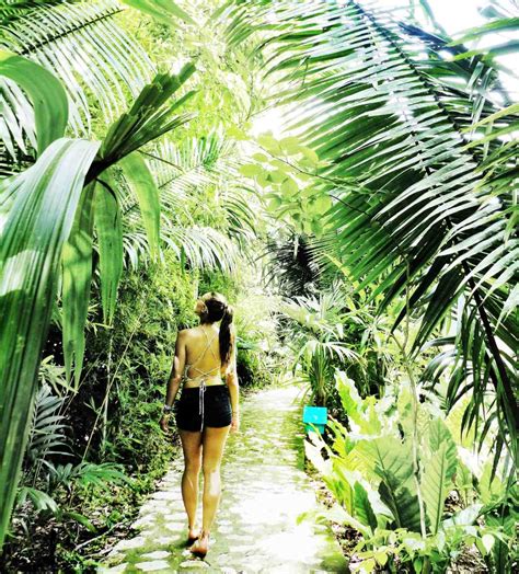 walkaboot travel luxury living  tikal   jungle lodge