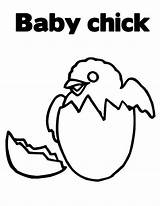 Baby Coloring Chick Hatching sketch template